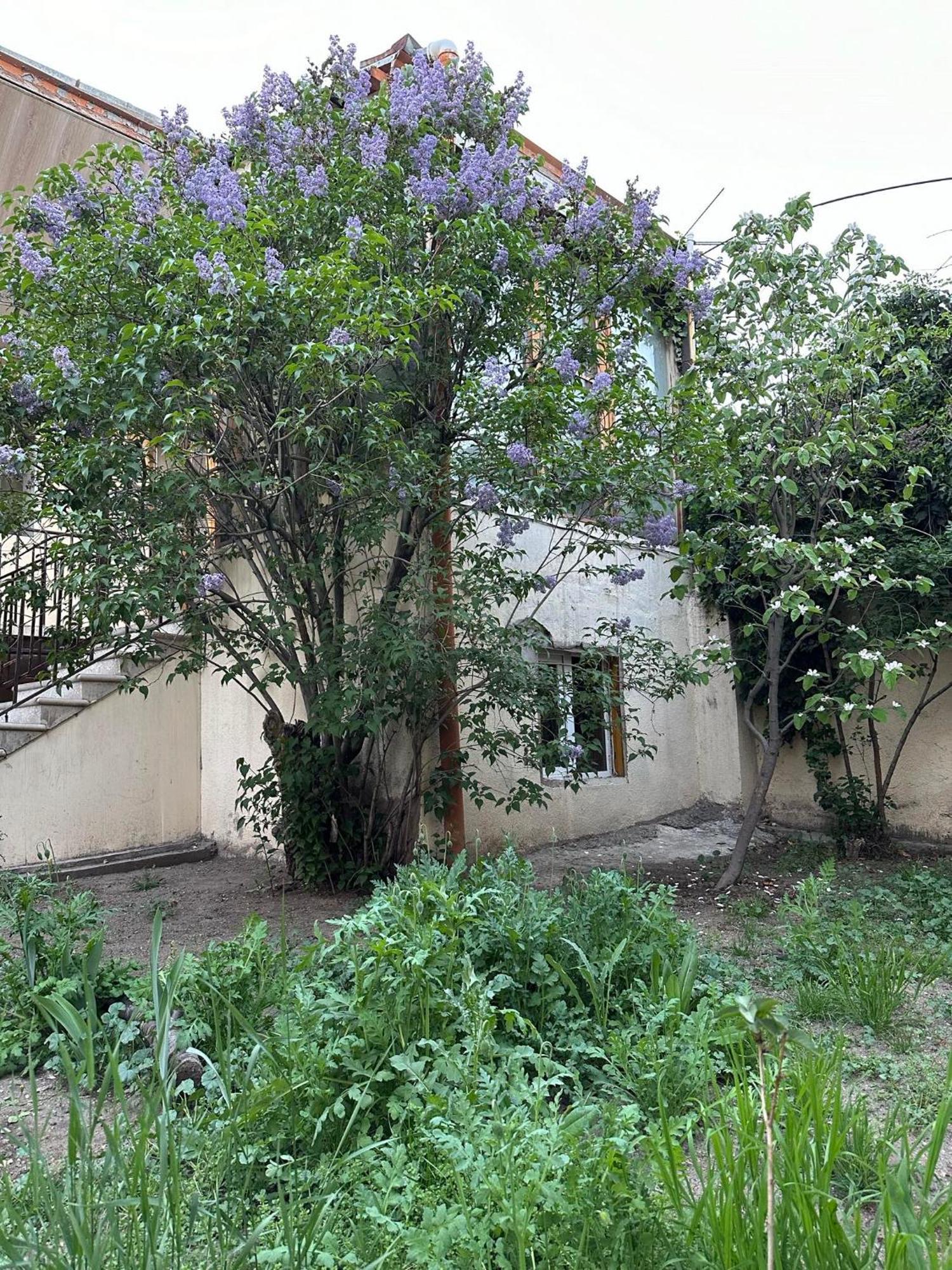 Popock City Center Yerevan Bagian luar foto