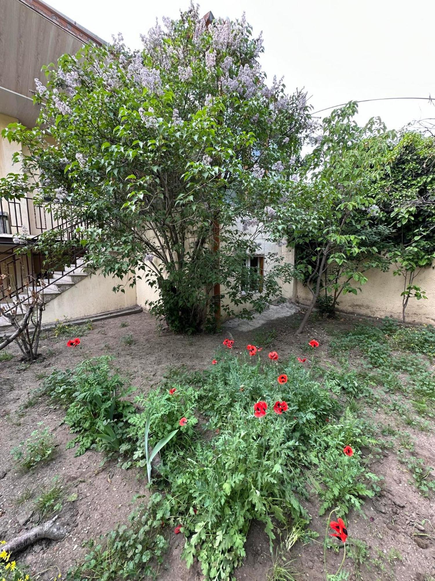 Popock City Center Yerevan Bagian luar foto