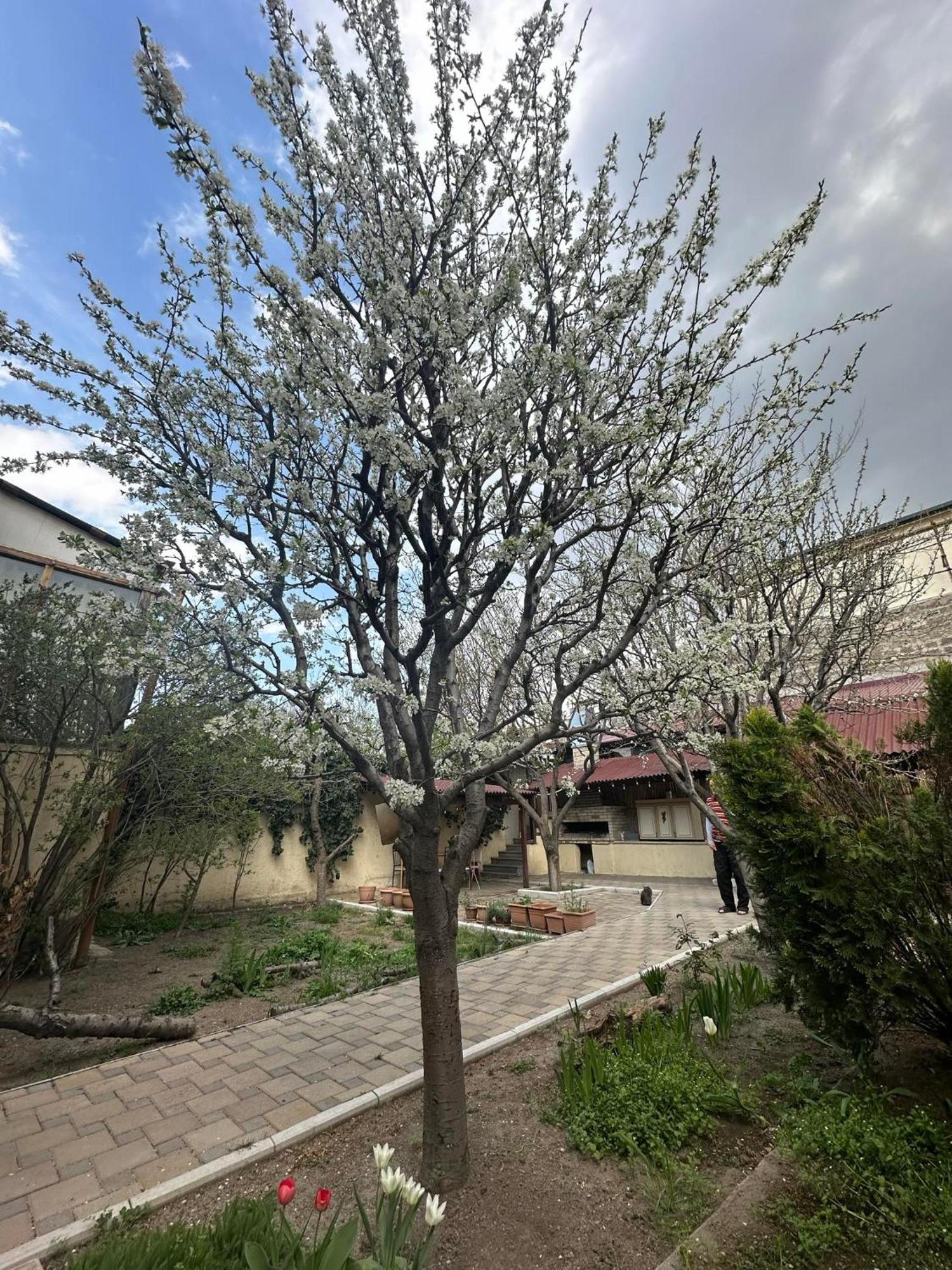Popock City Center Yerevan Bagian luar foto